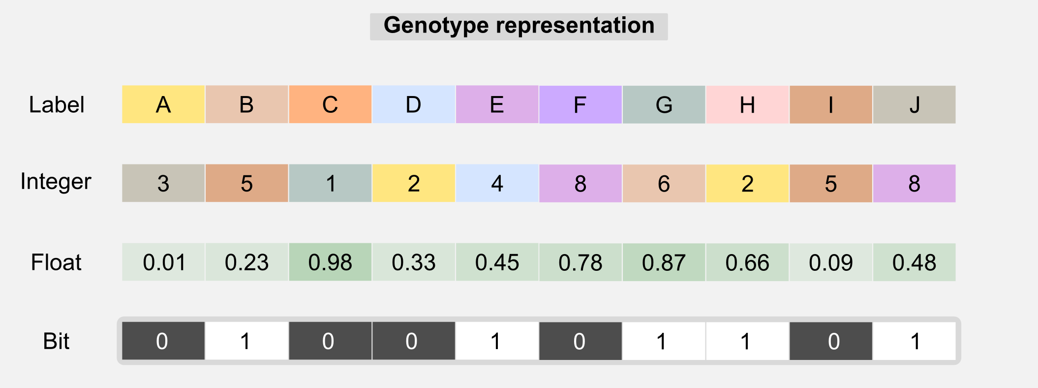 Genetic Algorithms Genotype Representation