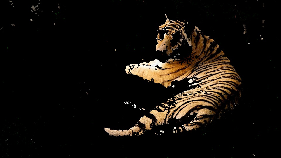 tiger multi backprojection